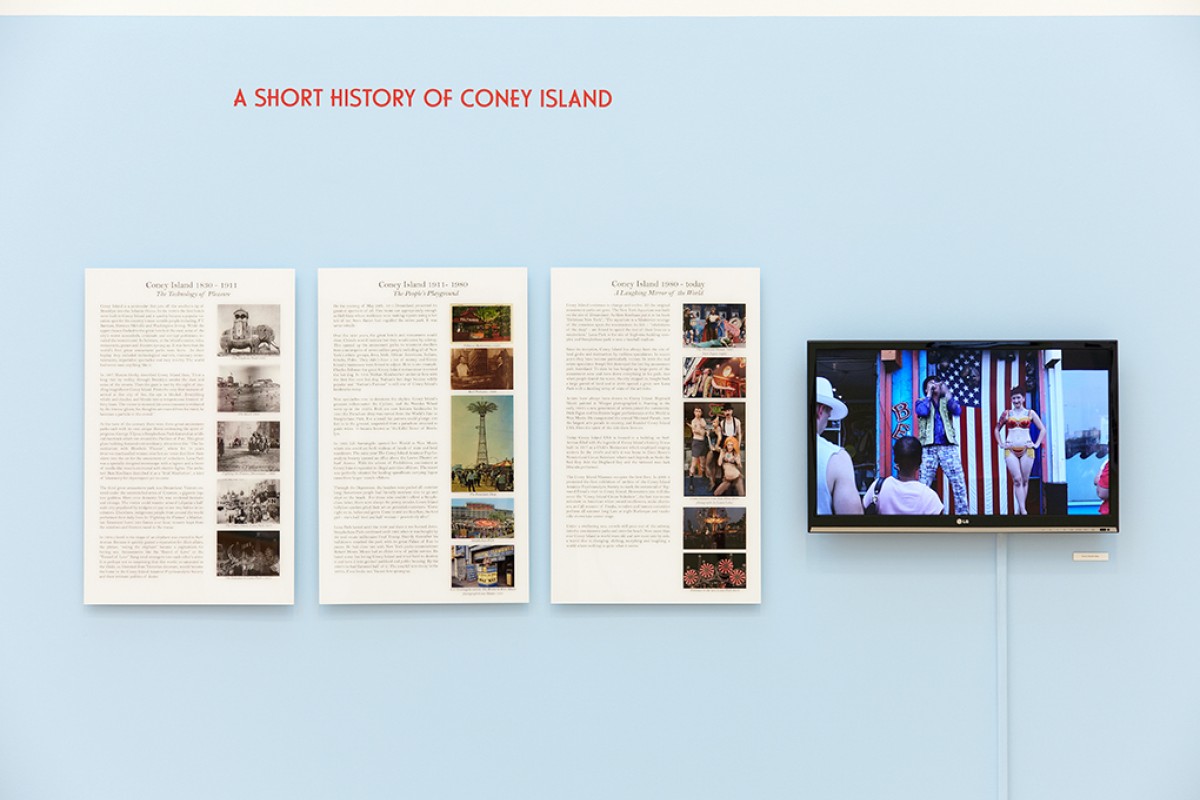 Zoe Beloff Installation View