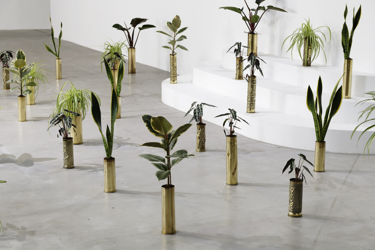 Copper shells filled with plants in white gallery space