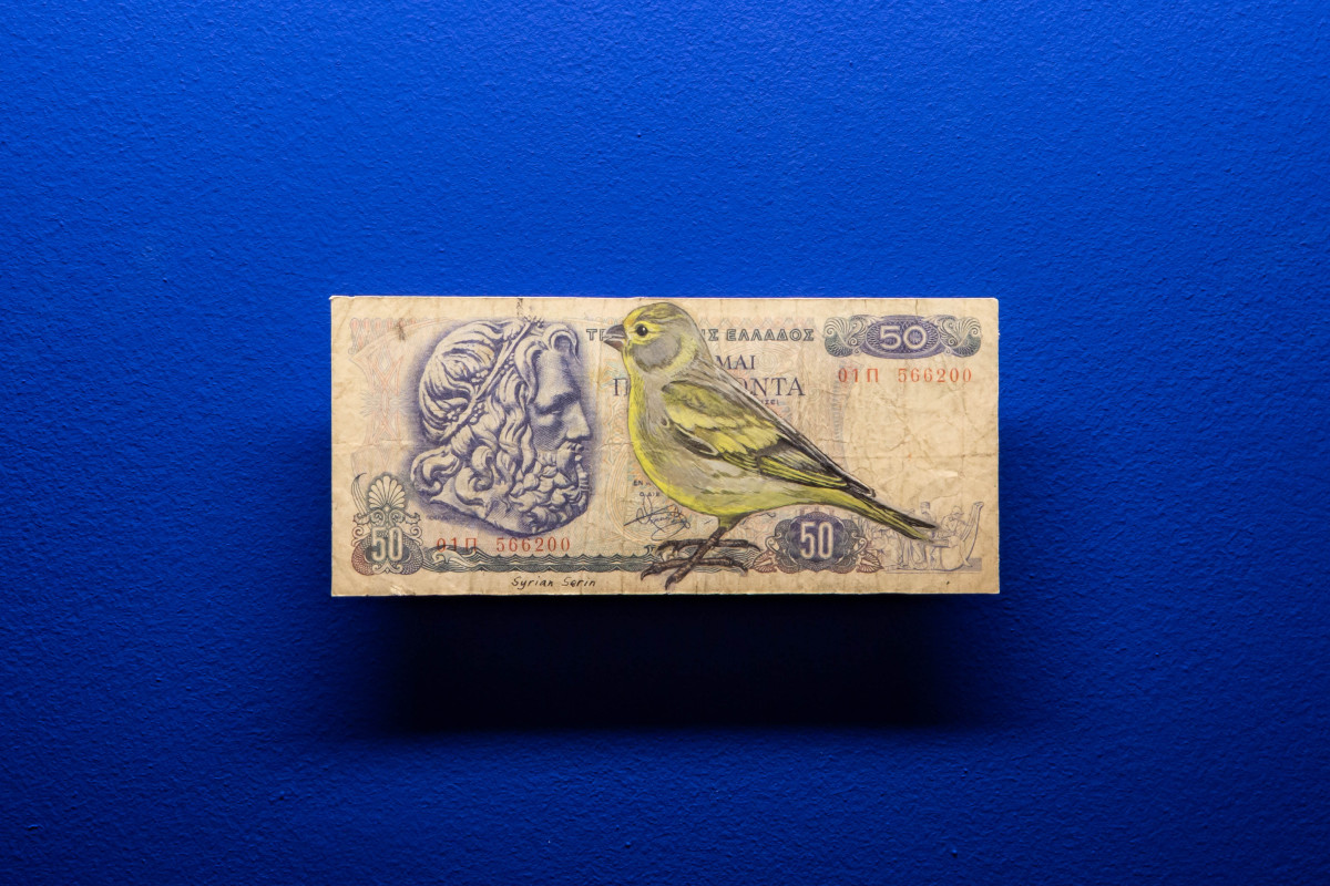 Hand-paninted green bird on an old Greek bank note against a dark blue wall