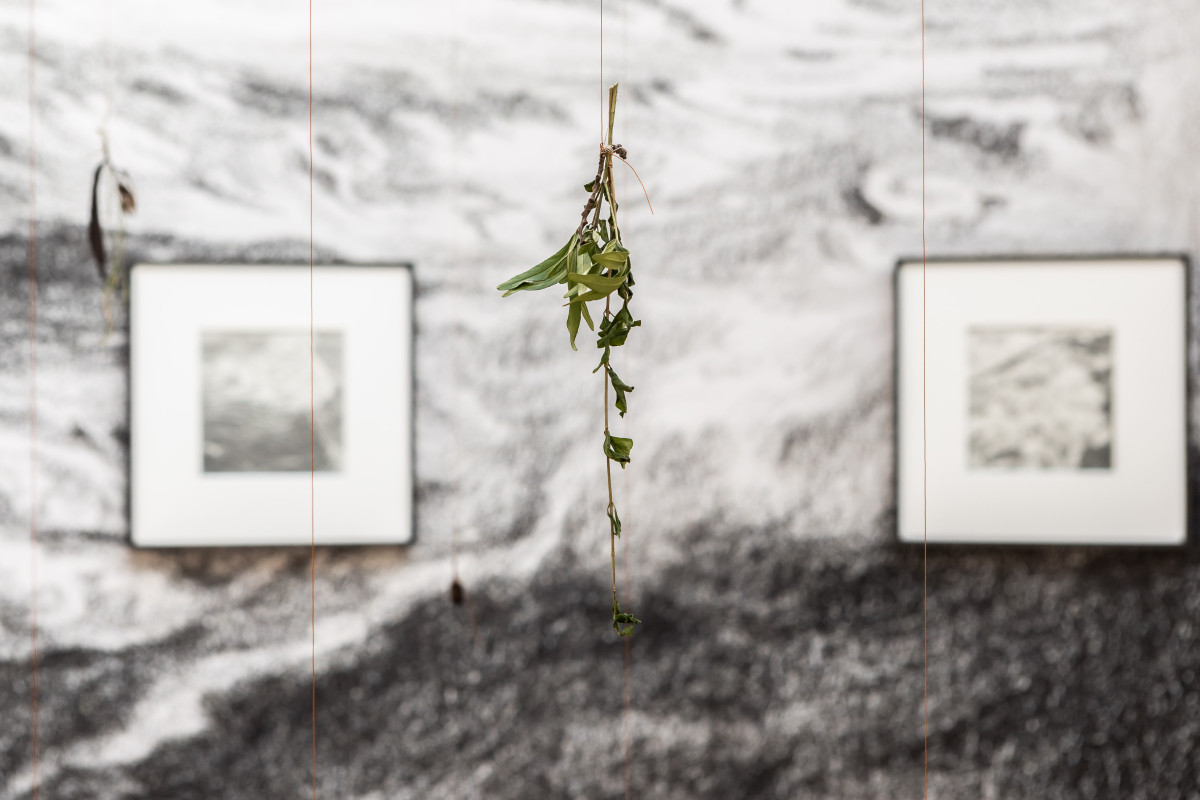 Kang Seung Lee, Erasure held like a fierce lantern, 2026. Part of The dead don’t go until we do, 2026. Exhibition view, Talbot Rice Gallery, the University of Edinburgh. Photo: Sally Jubb