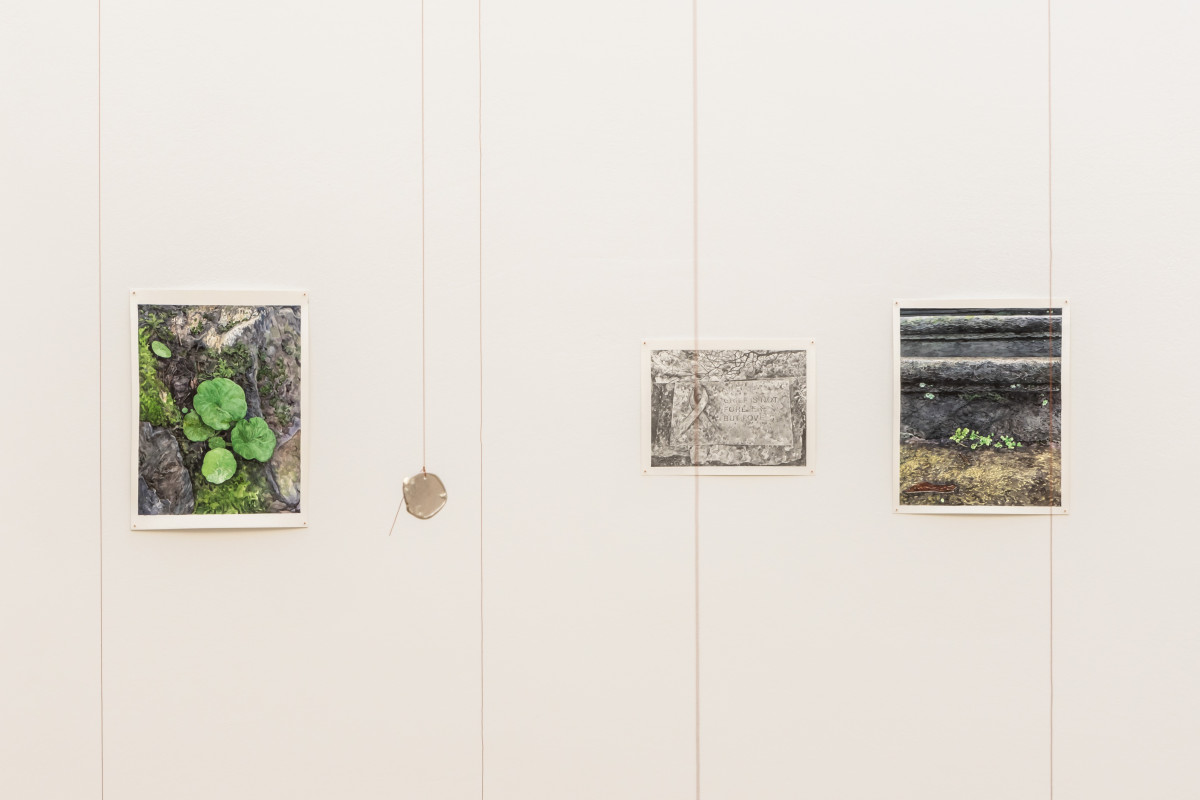 Kang Seung Lee, Erasure held like a fierce lantern, 2026. Part of The dead don’t go until we do, 2026. Exhibition view, Talbot Rice Gallery, the University of Edinburgh. Photo: Sally Jubb