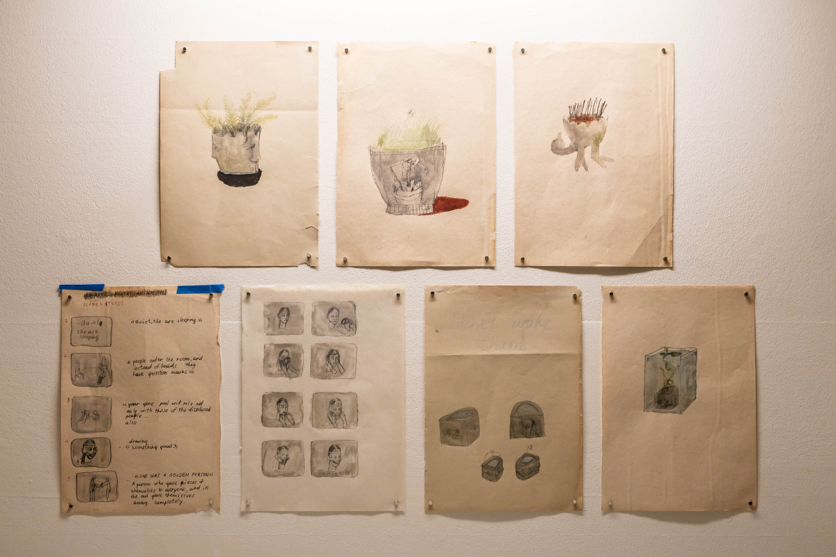 Watercolour drawings