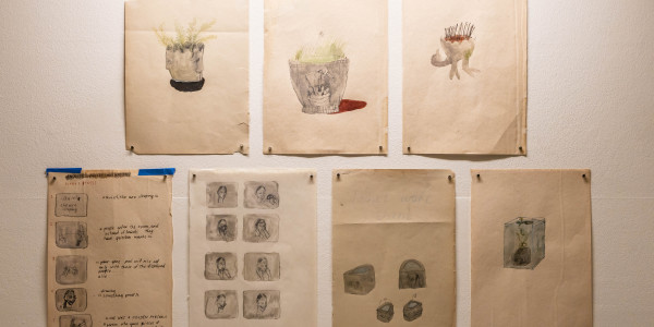 Watercolour drawings
